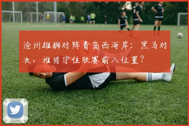 沧州雄狮对阵青岛西海岸：黑马对决，谁将守住联赛前八位置？