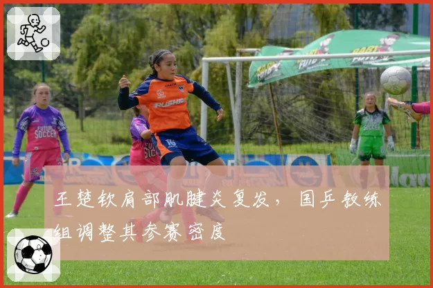 王楚钦肩部肌腱炎复发，国乒教练组调整其参赛密度